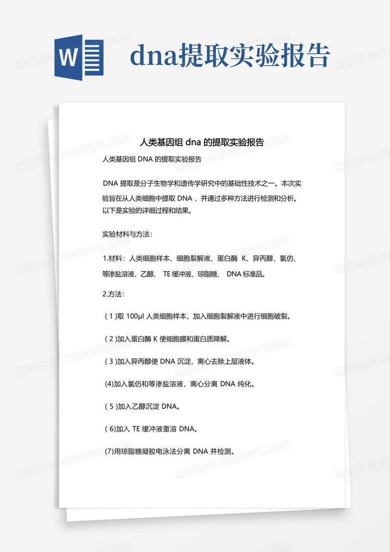 ai实验报告的步骤是什么：内容与步骤详解及模板与总结