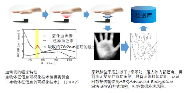 AI实验内容与步骤详解：包括哪些要点及具体实施流程