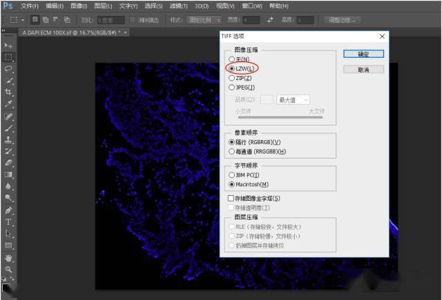 ai写作助手小程序在哪找：使用方法、SCI写作支持与评价其实用性