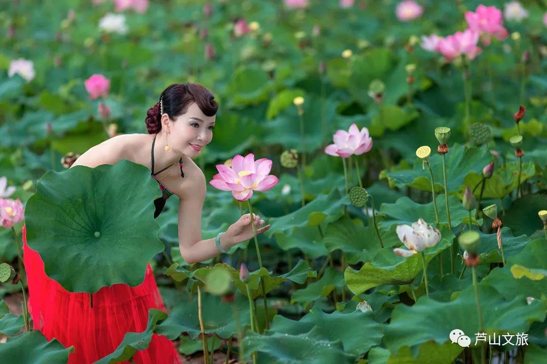 荷花美女ai绘画文案怎么写