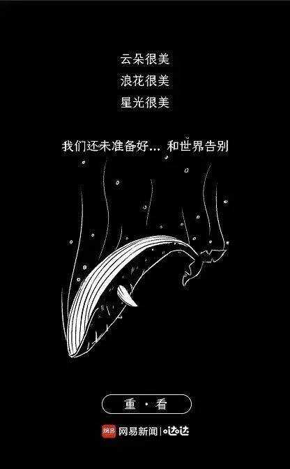 濂虫之韵：女性文案短句精选集