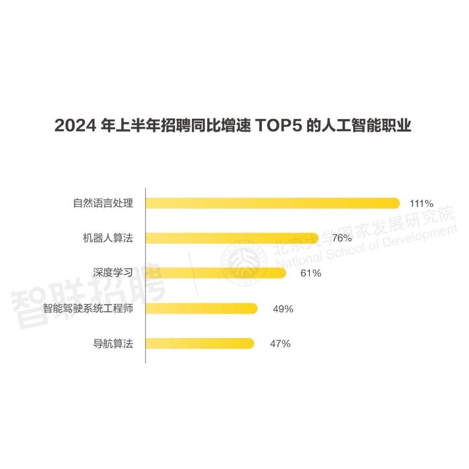 AI技术员与工程师职位招募：技能要求、职责说明及职业发展路径全方位解析