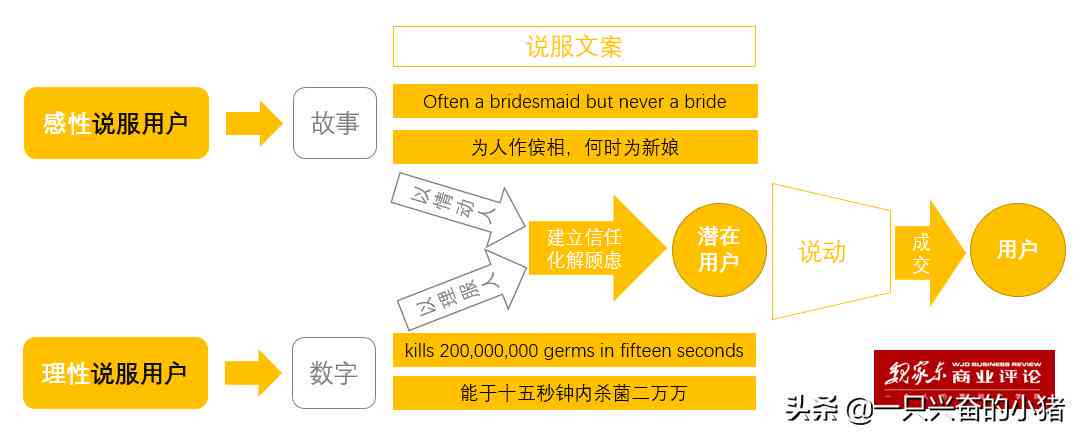 掌握私域流量，高效撰写吸引用户的文案技巧