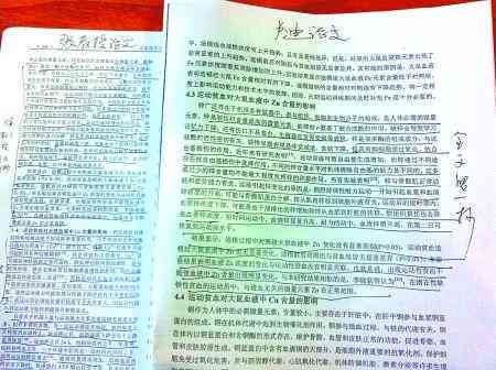 大学如何处理作业抄袭？探讨其处理方式