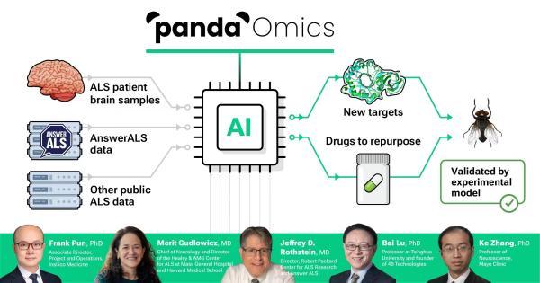 AI创作平台如何验证用户身份信息