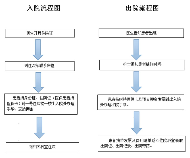 指南：综合逃生、毕业、医学及网站使用指南