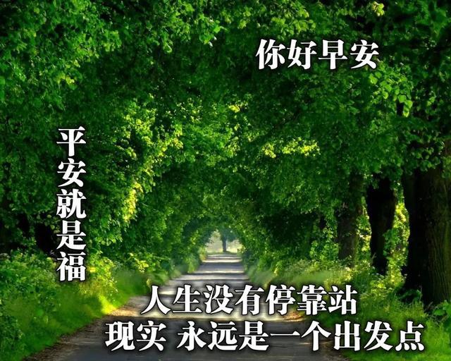 晨间文案汇编：早安励志语录与温馨问候集锦