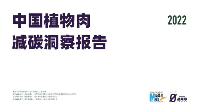 全面解析法治社会：社会实践报告与深度洞察