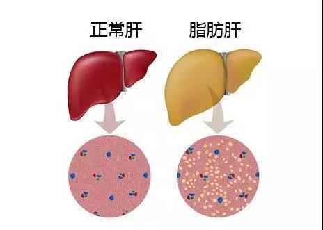 《医生的全面告：疾病诊断、治疗建议与预防措施》