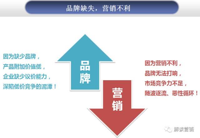 全方位解析：营销策划方案的经典案例及其成功要素详解