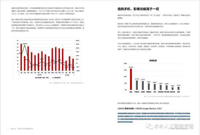 ai算法行业调查报告总结：范文、反思与行业洞察