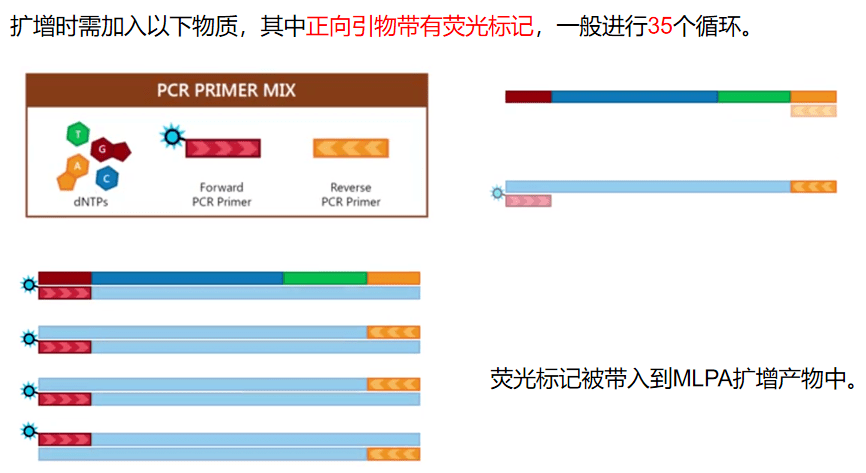 AI辅助功能：如何打开、声像探针介绍、关闭设置位置及软件盘点