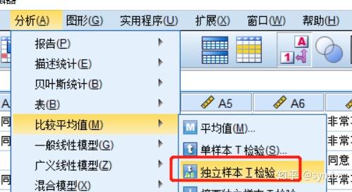 论文写作工具软件：SPSS与选择指南