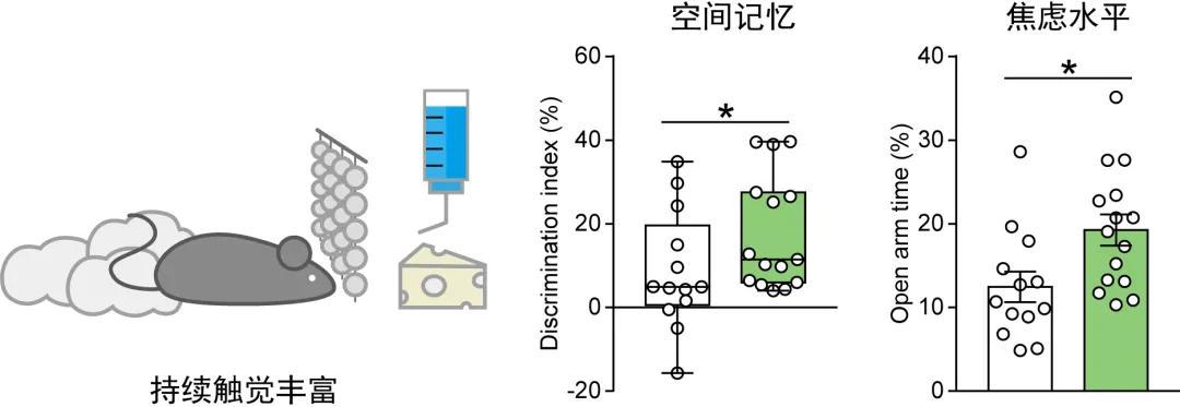 浙江论文AI辅助创作工具