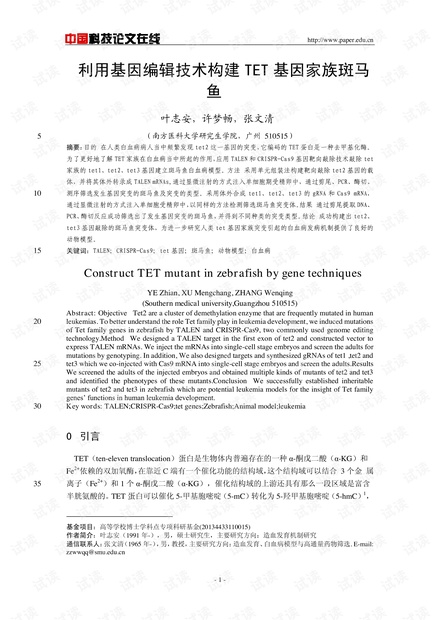 全面指南：如何利用AI技术创建高效、专业的报告书模板