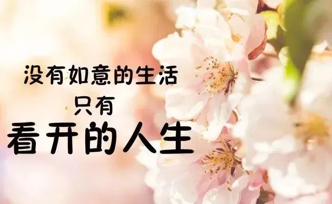 亲子情感表达：精选父女温馨短句与感人语录