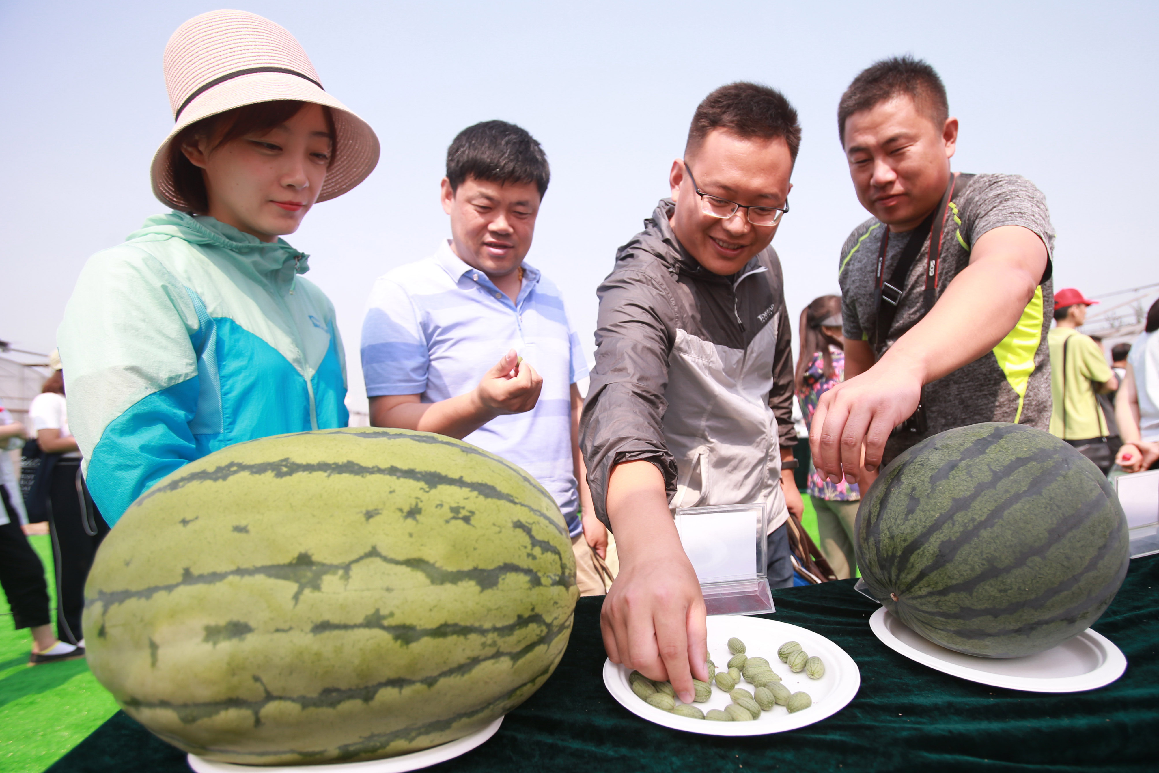 瀛洲绮鹃视角下的澶忓绗瑄西瓜探秘：绡锦瀛洲锛雕新解