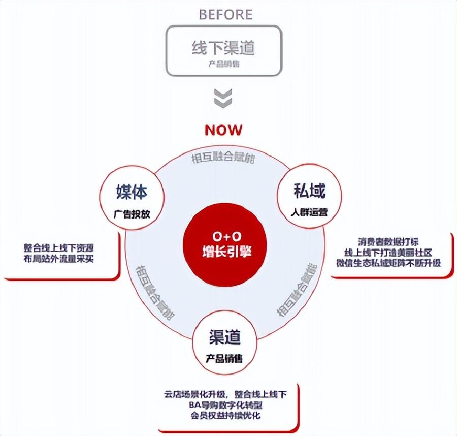 深度洞察：消费者AI应用与偏好全景分析报告