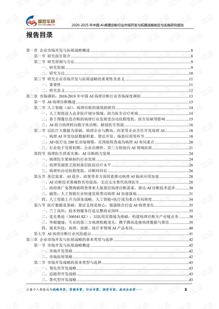 AI市场调查报告总结：撰写方法、范文及反思