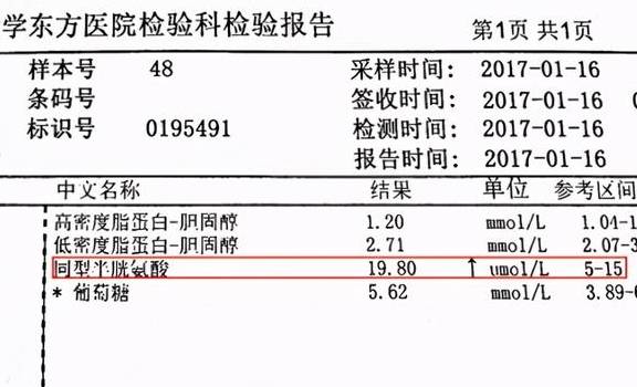 全面解读血清报告：AI与B型病检测指标详解及临床意义